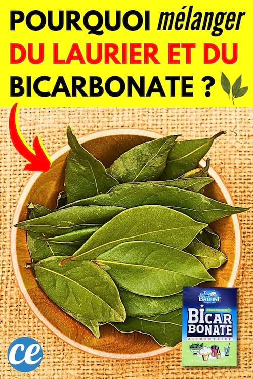 Des feuilles de laurier avec du bicarbonate de soude