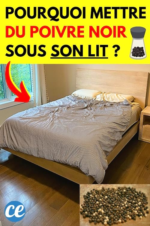 Du poivre noir qui est mis sous le lit