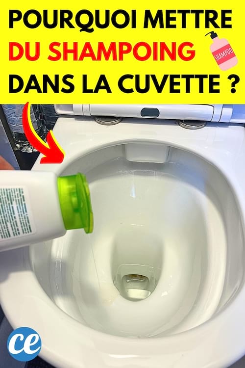 Du shampoing qui est versé dans la cuvette des toilettes pour la nettoyer