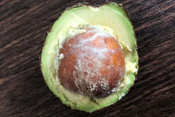 Noyau moisi dans un avocat coupé.