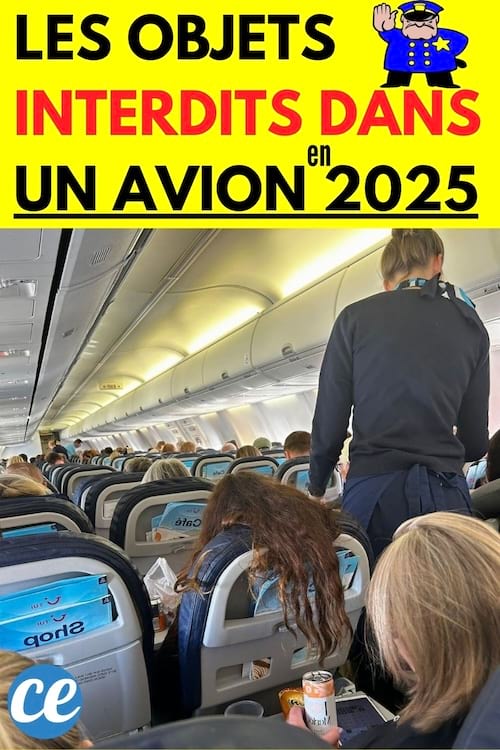 Une hôtesse de l'air debout dans un avion avec tous les autres passagers