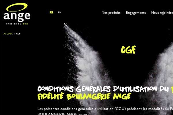 Page Ange avec texte sur CGU.