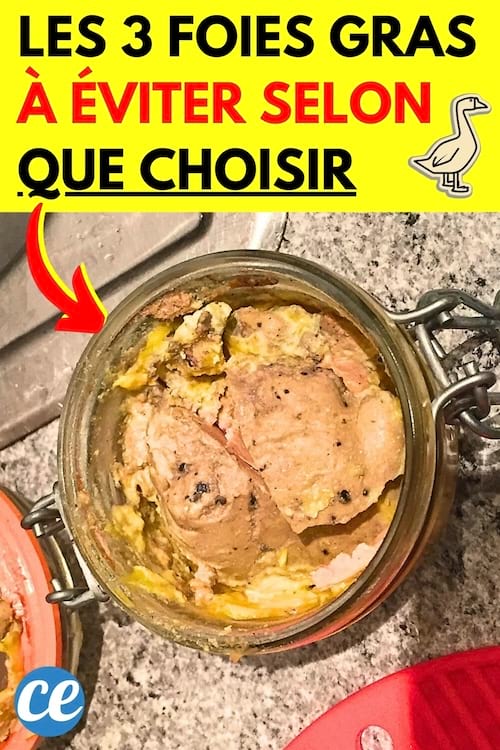 Du foie gras dans un bocal en verre qui vient de chez Carrefour à éviter