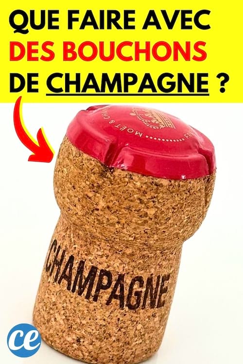 Un bouchon de champagne MOËT et CHANDON à transformer pour le réutiliser