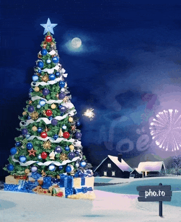 Feux d'artifice derrière un sapin gif