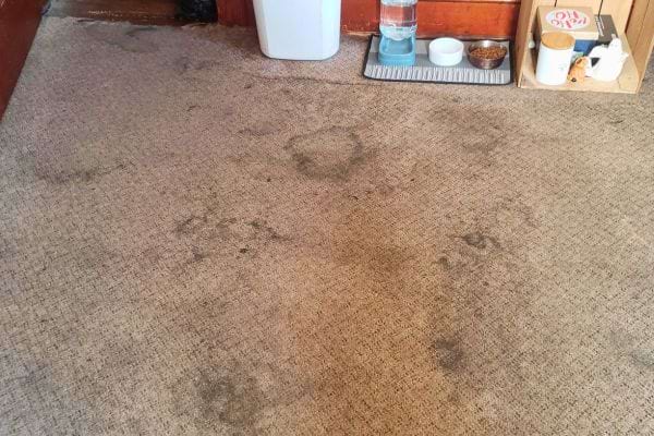 Tapis avec taches foncées.