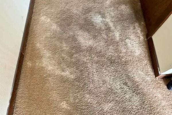 Tapis clair avec zones ombrées.