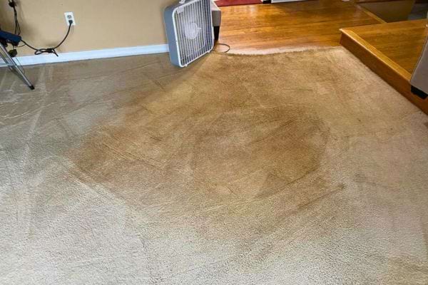 Tapis beige avec traces visibles.