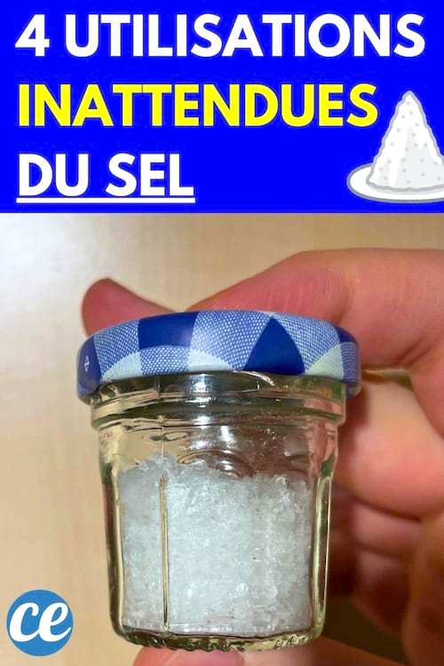 Une personne tenant du sel dans un petit bocal avec un couvercle bleu