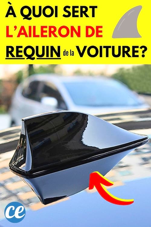 Une aileron de requin sur le toit de la voiture