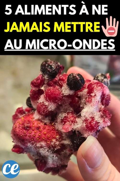 Une personne tenant des baies surgelés