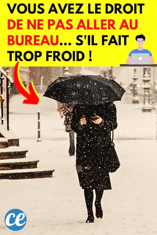une personne qui va au travail alors qu'il neige
