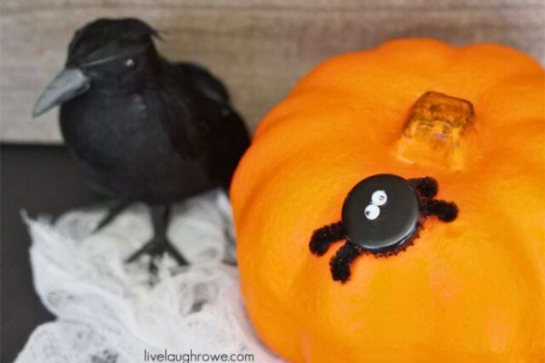 Araignée Halloween citrouille