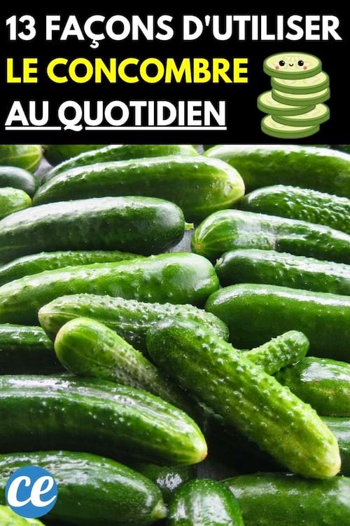 Concombres empilés et un arrière-plan rempli de concombres frais