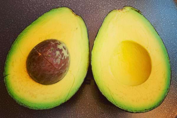 Avocat tranché nettement montrant un gros noyau.