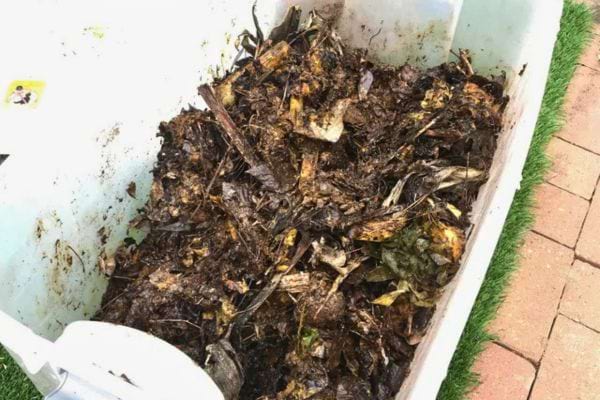 Conteneur rempli de déchets organiques et de feuilles pour compostage.