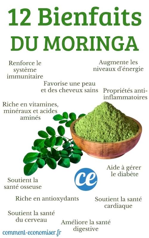 Les différents bienfaits de consommer du Moringa