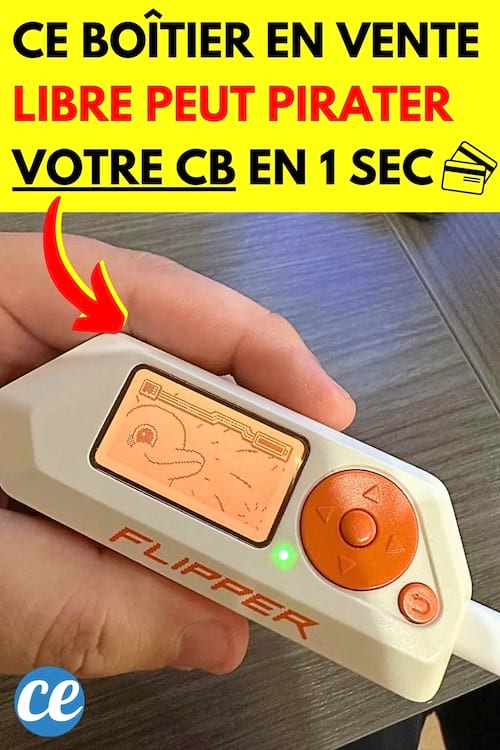 Un boîtier flipper zéro dans la main qui peut pirater une carte bleue