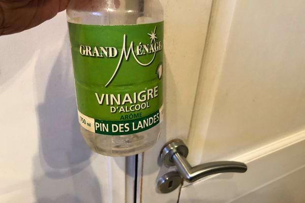 Une main tenant une bouteille de vinaigre d'alcool aromatisé au pin.