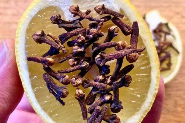 Gros plan d'une main tenant une moitié de citron avec clous de girofle.