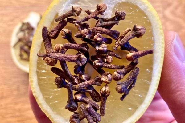 Gros plan d'une moitié de citron garnie de clous de girofle.