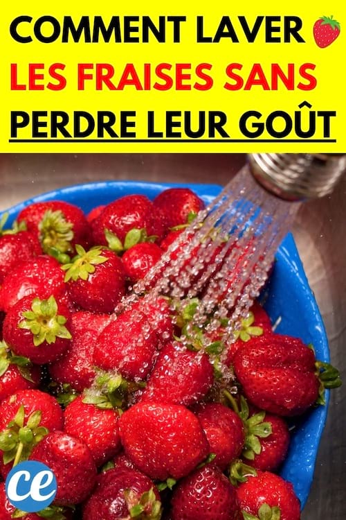 Fraises nettoyées sans être abîmées