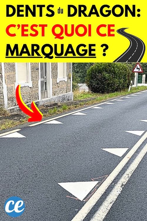 le marquage au sol sur la route en dents du dragon