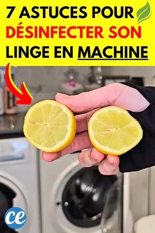 Une femme qui a coupé un citron en 2 pour désinfecter le linge en machine