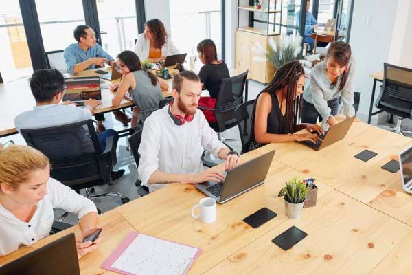 Des professionnels variés travaillent concentrés sur des ordinateurs dans un bureau lumineux.