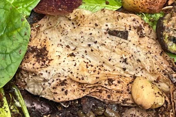 Feuilles, peaux et aliments en décomposition sur le sol.