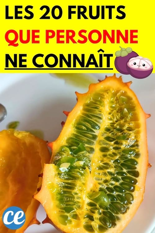 Kiwano coup&eacute; en deux, avec une chair verte et juteuse entour&eacute;e d'une peau orange