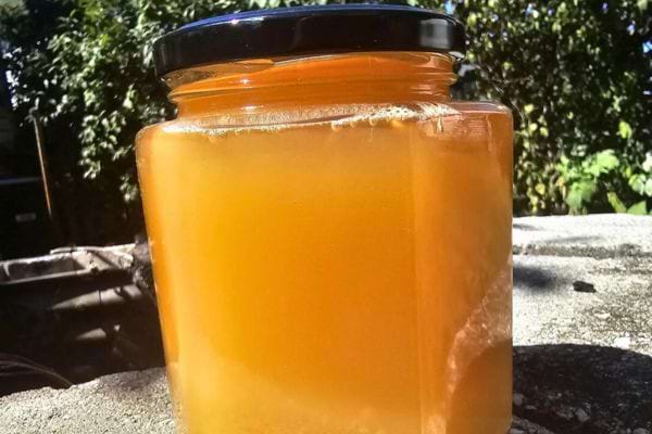 Grand pot de miel cristallisé exposé au soleil.