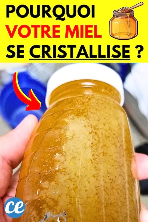 Du miel qui se cristallise dans un bocal