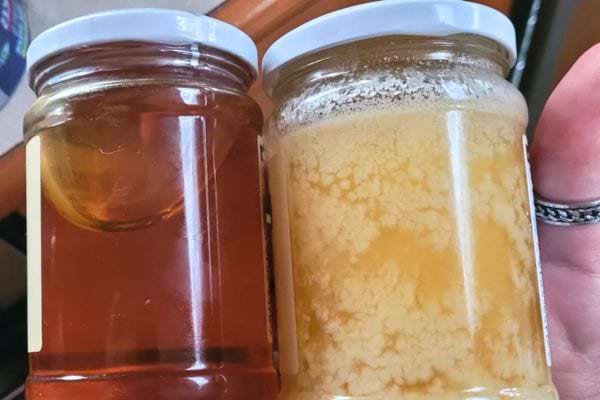 Deux pots de miel, l'un liquide et l'autre cristallisé.