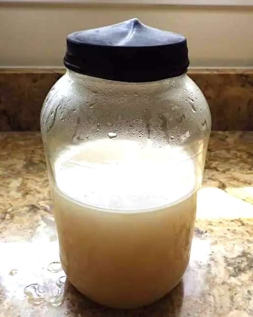 Un ballon sur un bocal pour remplacer un barboteur de fermentation.