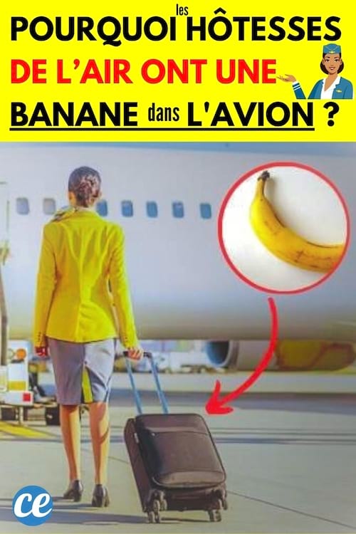 Une banane dans un rond visant une valise noir d'une hôtesse de l'air 
