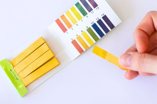 Une main qui tient un bandelette de test pour le pH.