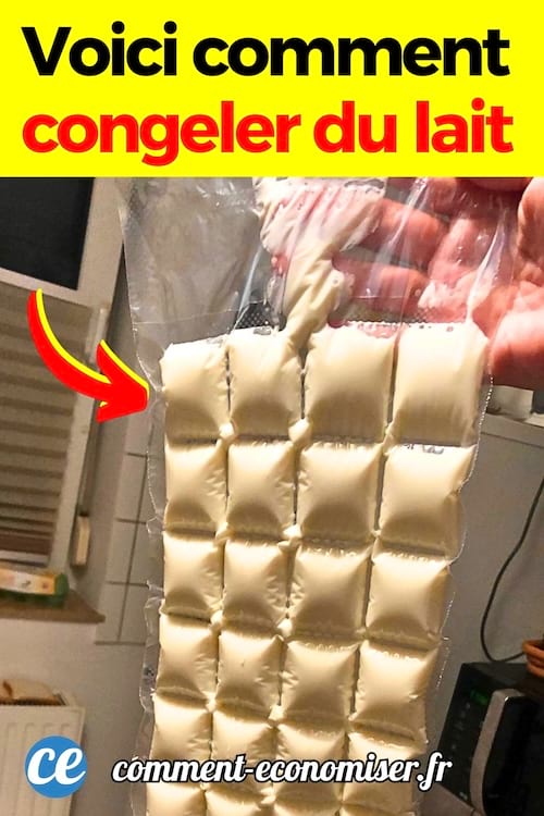 Du lait congelé dans un sachet en plastique en petit cube