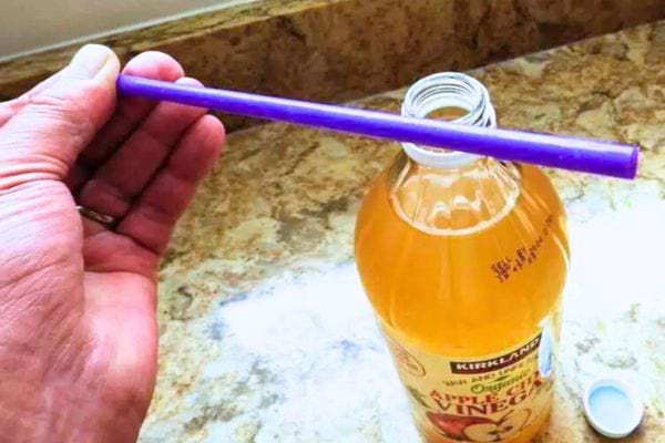 Une paille avec la mère de vinaigre dedans.