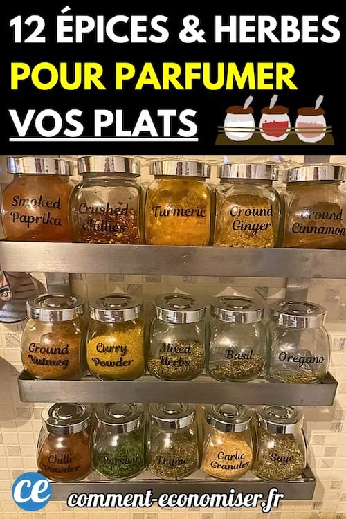 Épices et herbes aromatiques dans des pots en verre