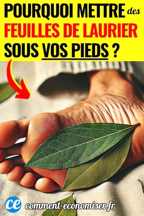Des feuilles de laurier sous le pied d'une homme avant de dormir