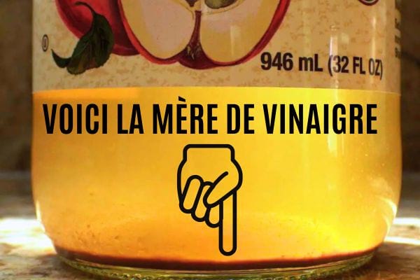 Mère de vinaigre dans une bouteille de vinaigre de cidre bio.