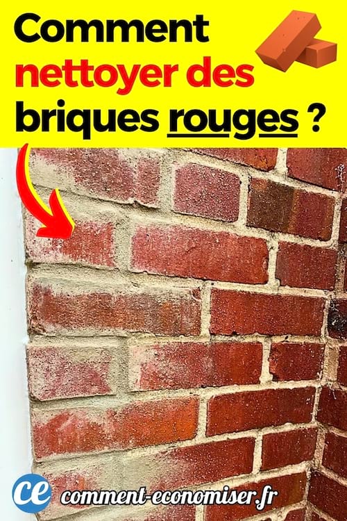 Un mur de brique rouge avec des taches blanches à nettoyer