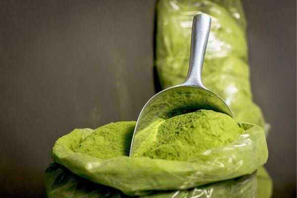 Pelle remplie de poudre de moringa.