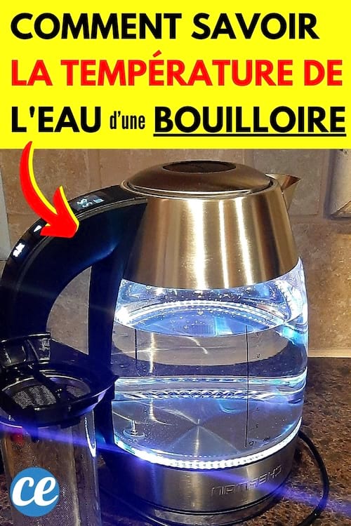 Une bouilloire électrique avec de l'eau dedans à une certaine température