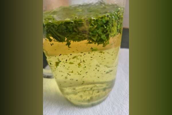 Verre d'eau avec moringa flottant.