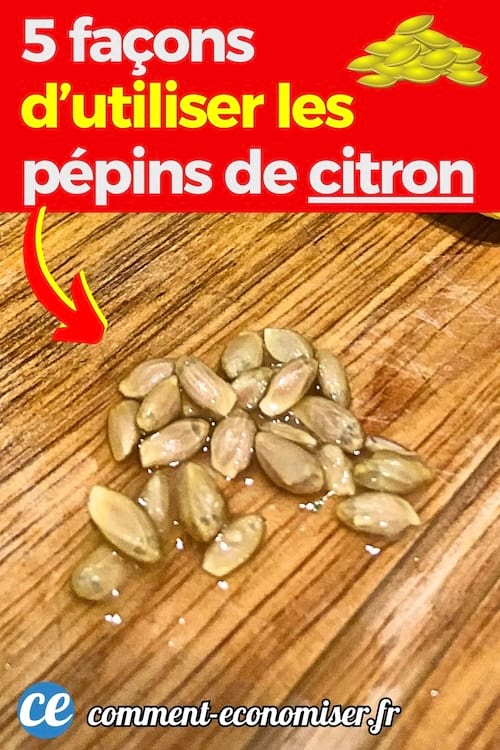Des pépins de citron qui ont des vertus pour la santé