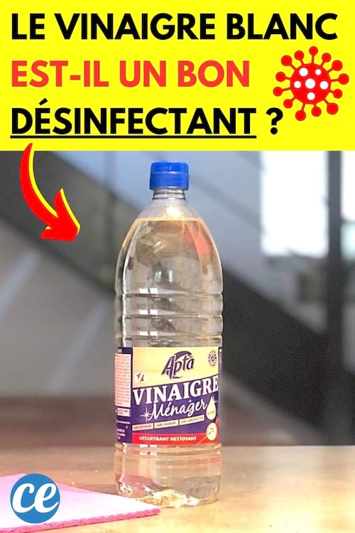 Une bouteille de vinaigre blanc sur la table pour désinfecter