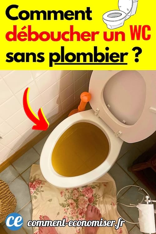 Des wc complètement bouchées à la maison qui sont pleine d'eau 