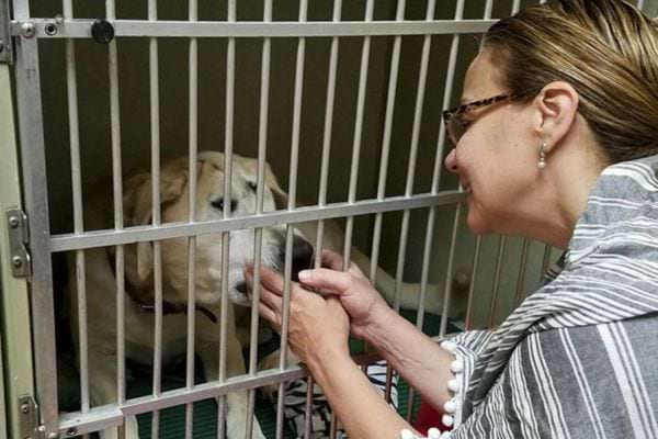 Une femme interagit avec un chien à travers la grille d'une cage.